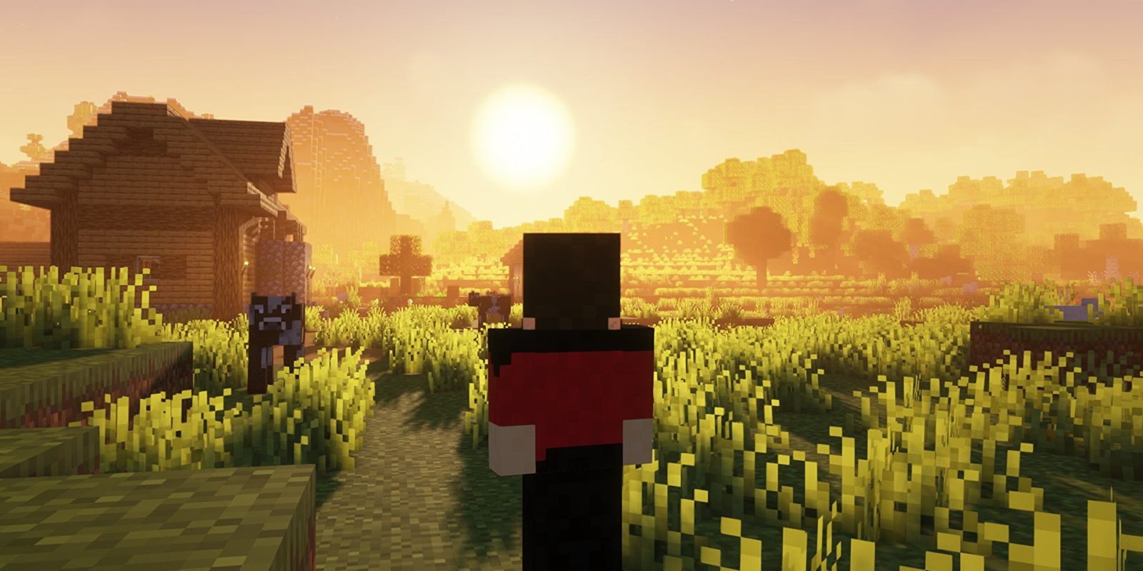most popular minecraft mod for performance and shaders